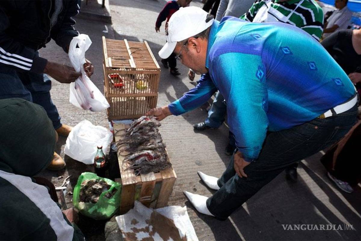 Caldo de rata, un alimento de subsistencia en el semidesierto de Zacatecas