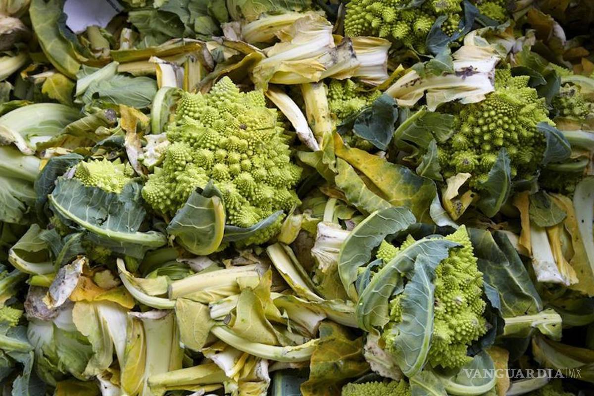 Con residuos vegetales logran científicos morelenses obtener plásticos