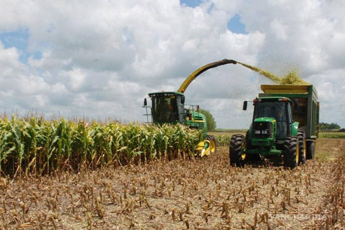 Las grandes empresas monopolizan los apoyos al campo