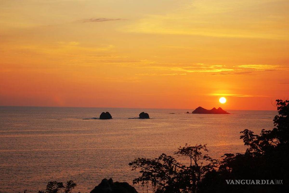 Golfo Dulce, fiordo tropical que rebosa vida