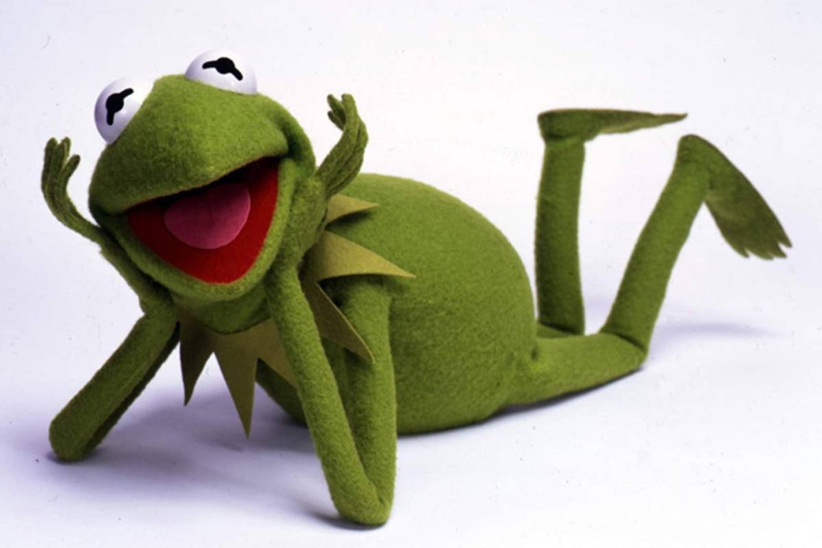 De marioneta a meme, la rana René se vuelve viral