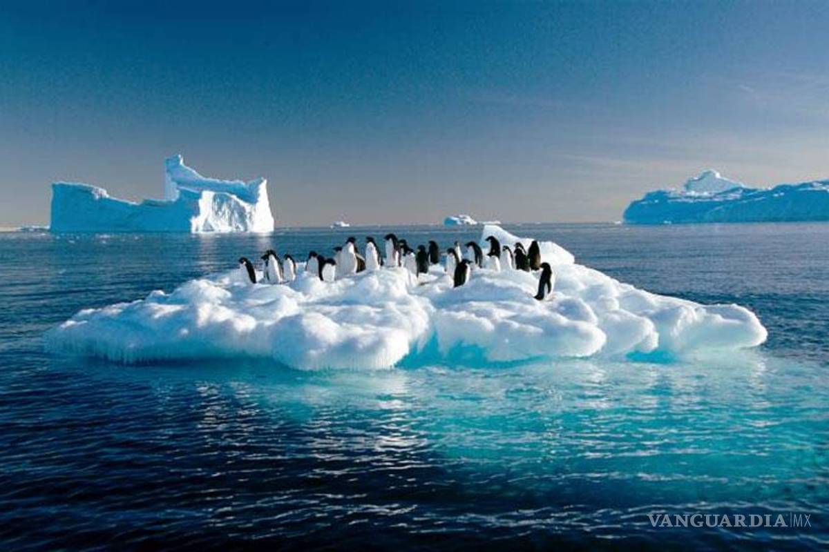 Grandes firmas desprestigian estudios del cambio climático: Greenpeace