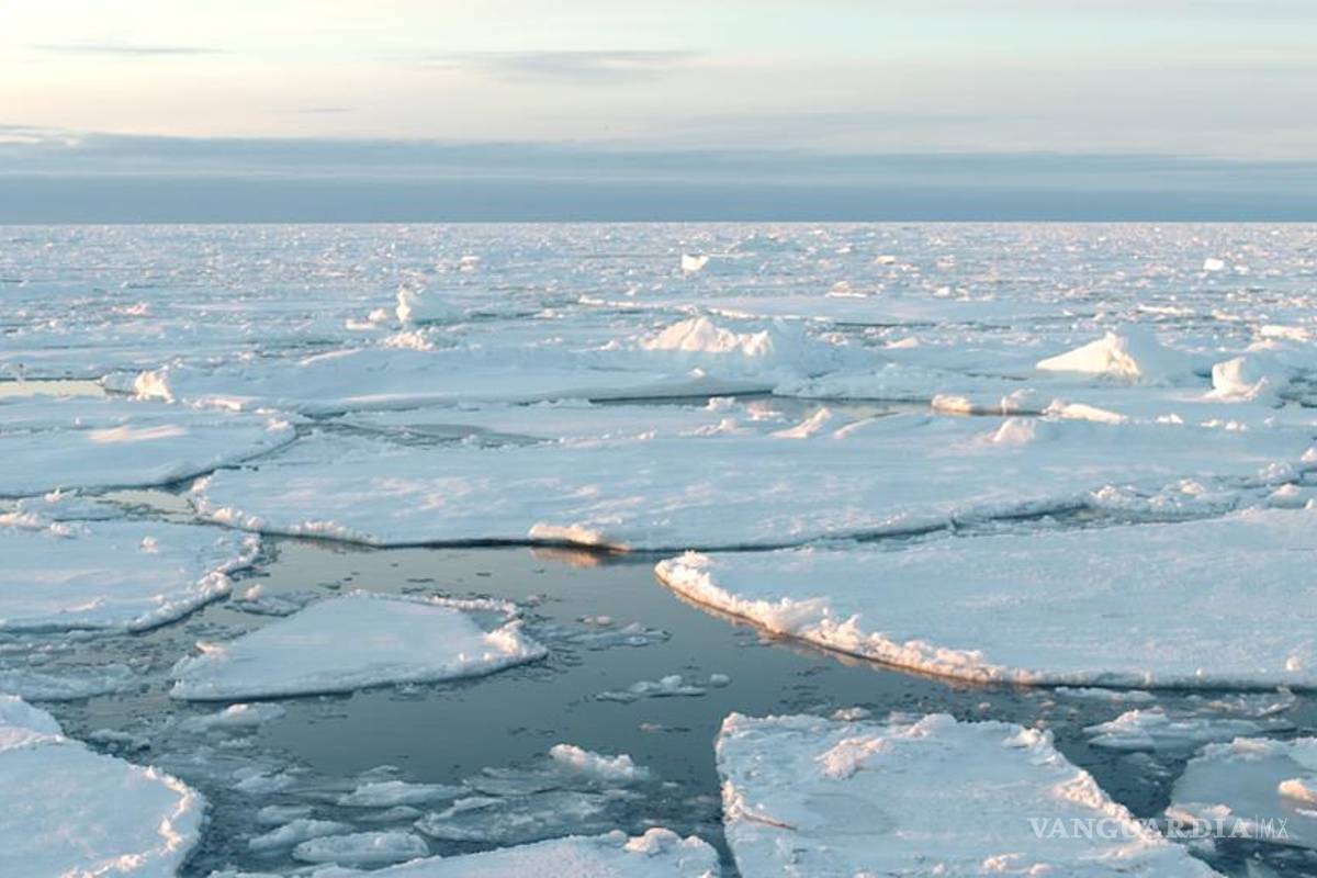Hielo ártico, en su sexto nivel más bajo desde 1978