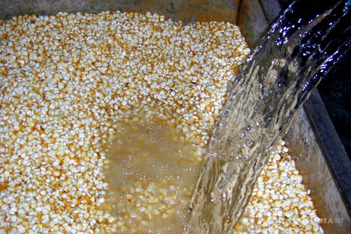 Crean nuevo proceso de nixtamalización para evitar contaminación del agua