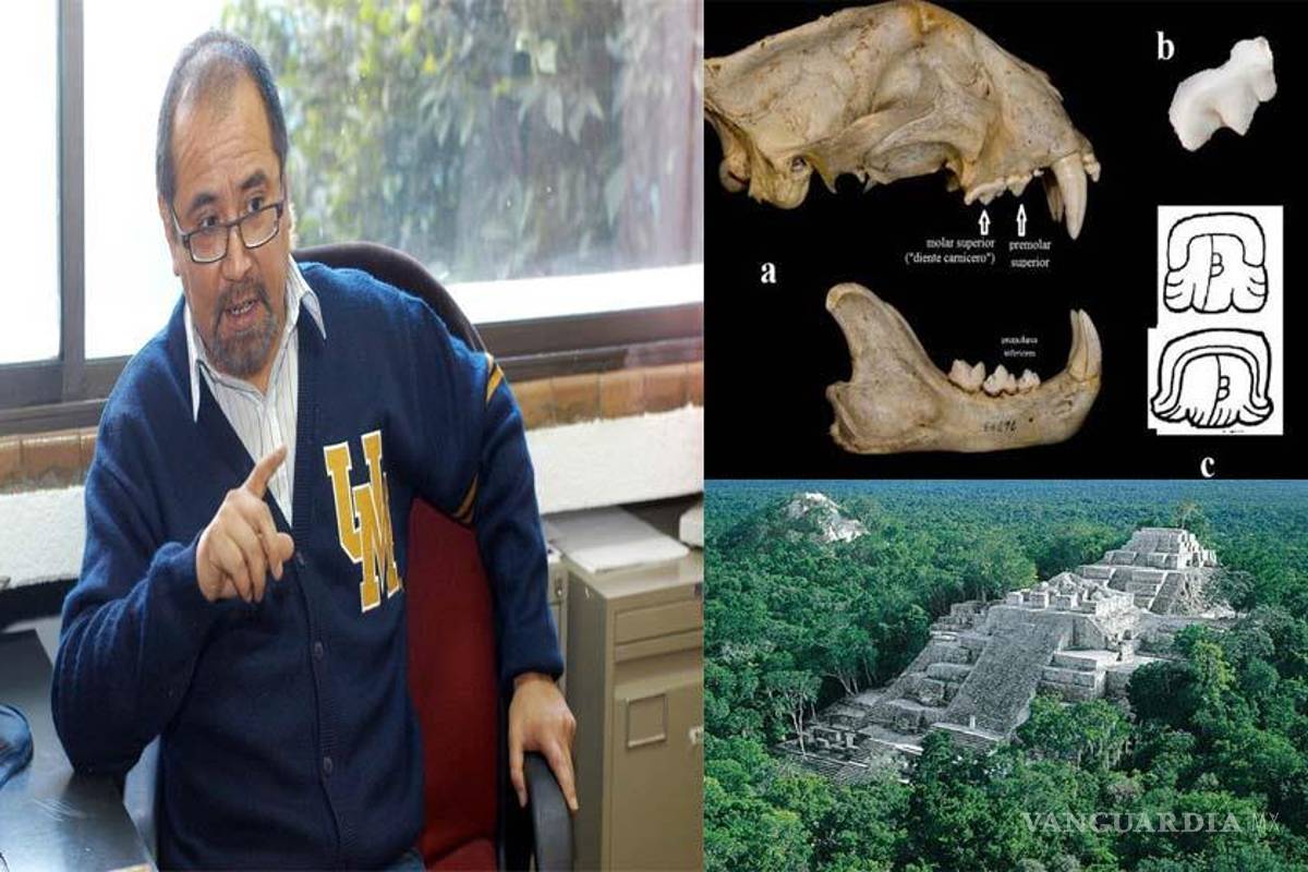 Epigrafista alemán pone en duda hallazgo sobre el glifo de Pakal