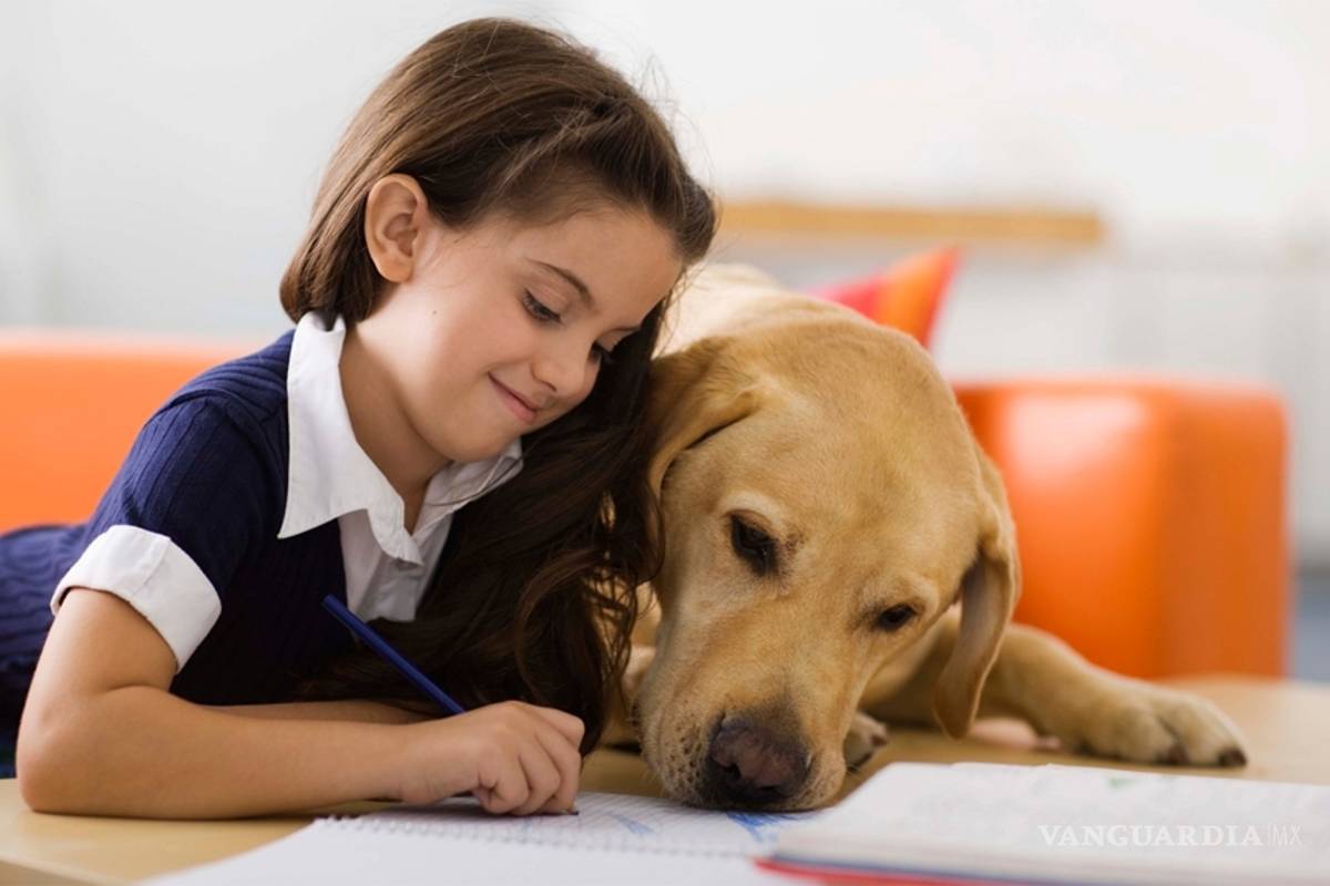 Los niños son más propensos a confiar en las mascotas que en sus hermanos