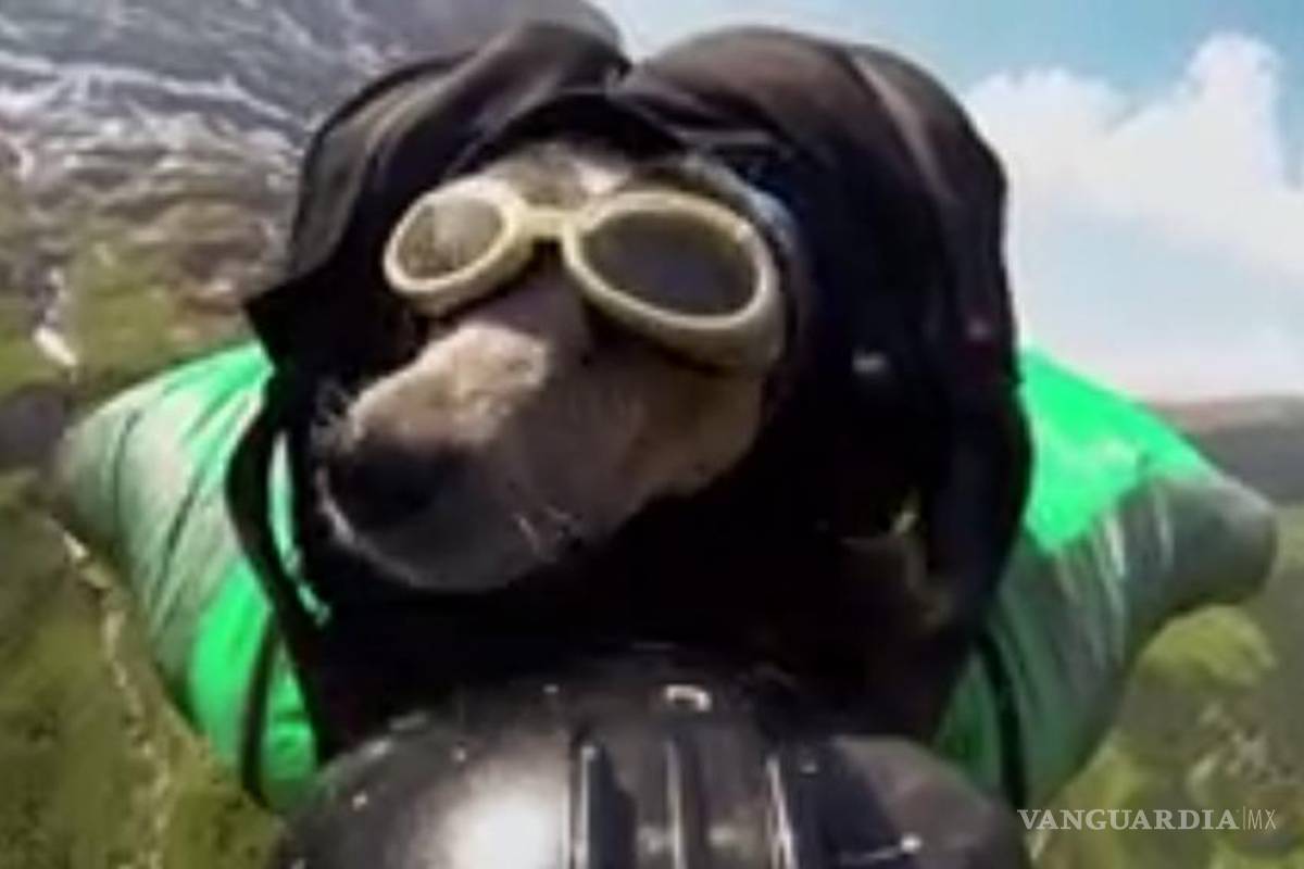 Paracaidista se lanza con su perro a casi 4 mil metros de altura