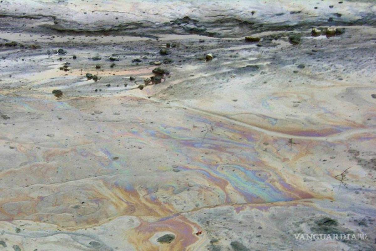 Dan primer golpe judicial al fracking en EU