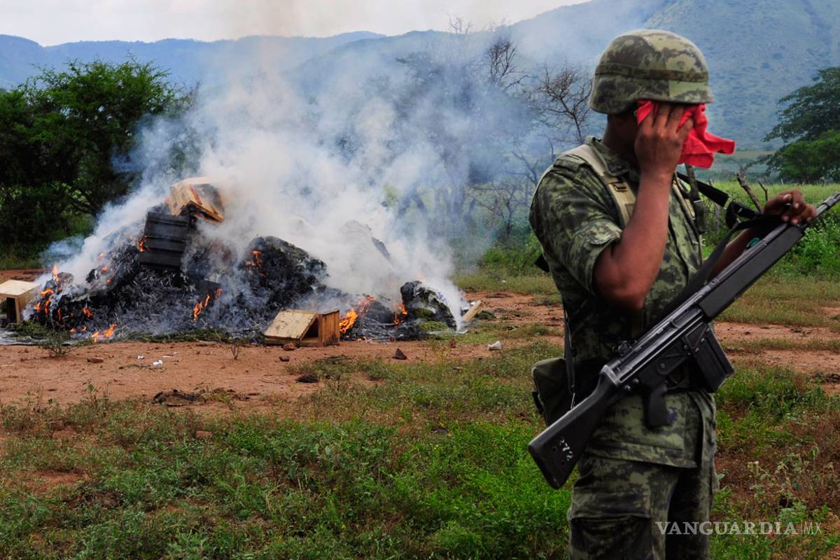 Piden a PGR informar sobre erradicación de plantíos de droga