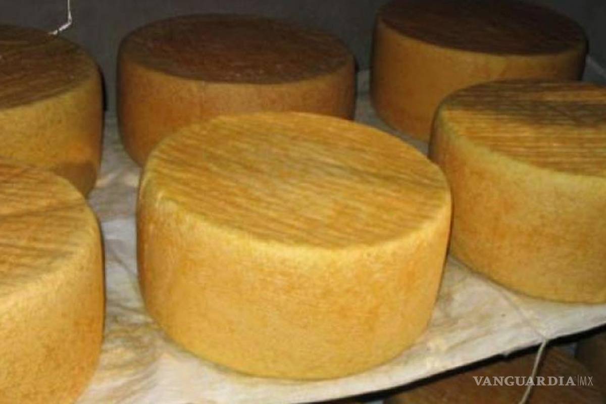 Cotija, una leyenda para saborear