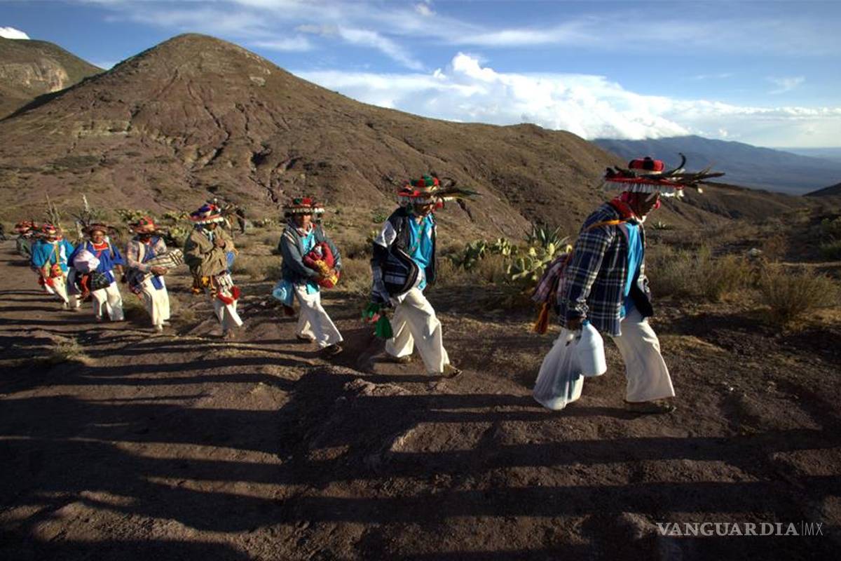 Wirikuta: territorio sagrado por la Unesco, en peligro