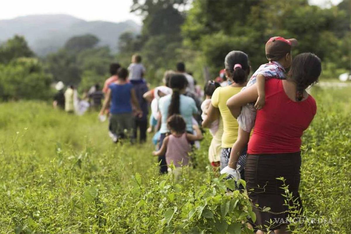 Ifai ordena a Conapo información sobre desplazados en Guerrero