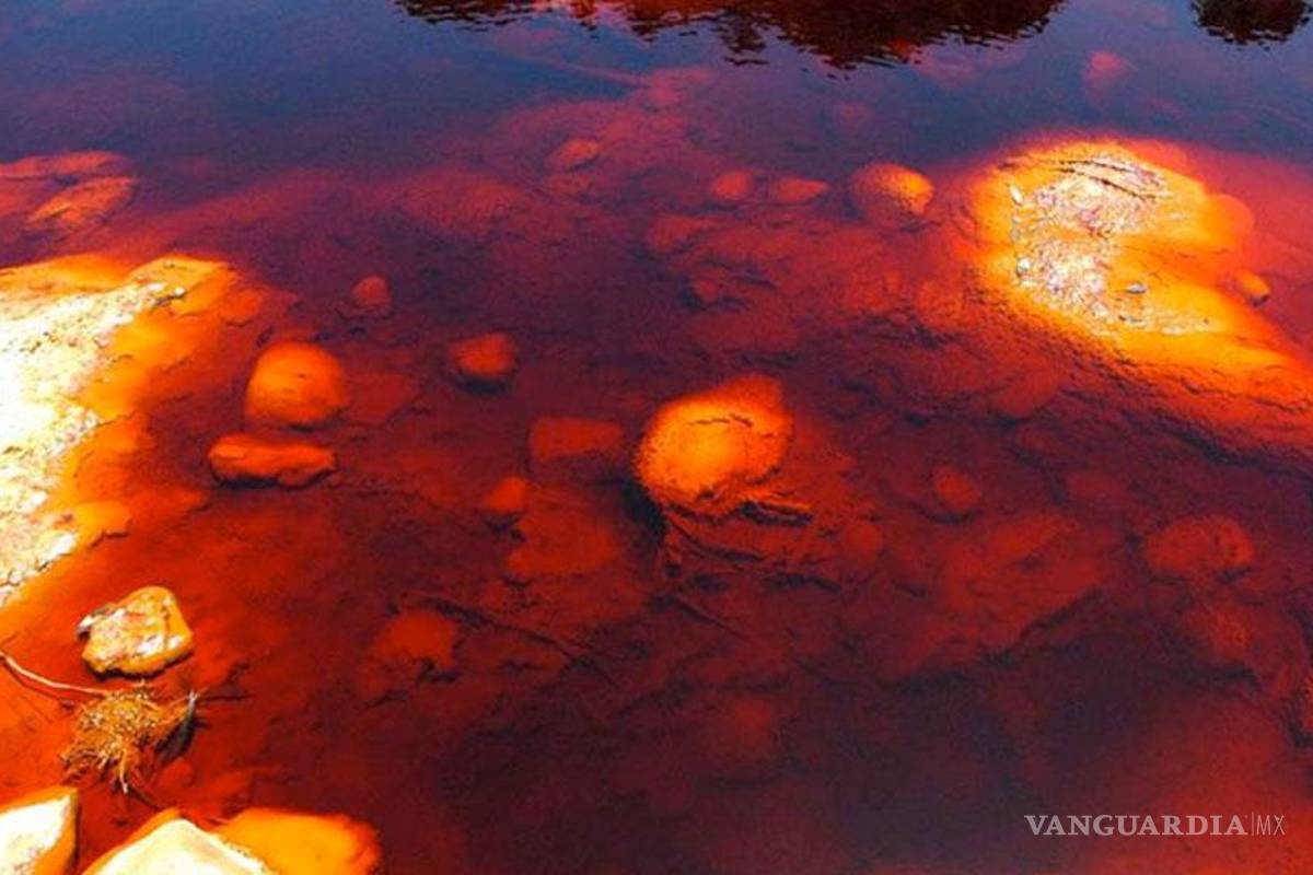 Admiten recurso colectivo contra Grupo México por derrame en Sonora