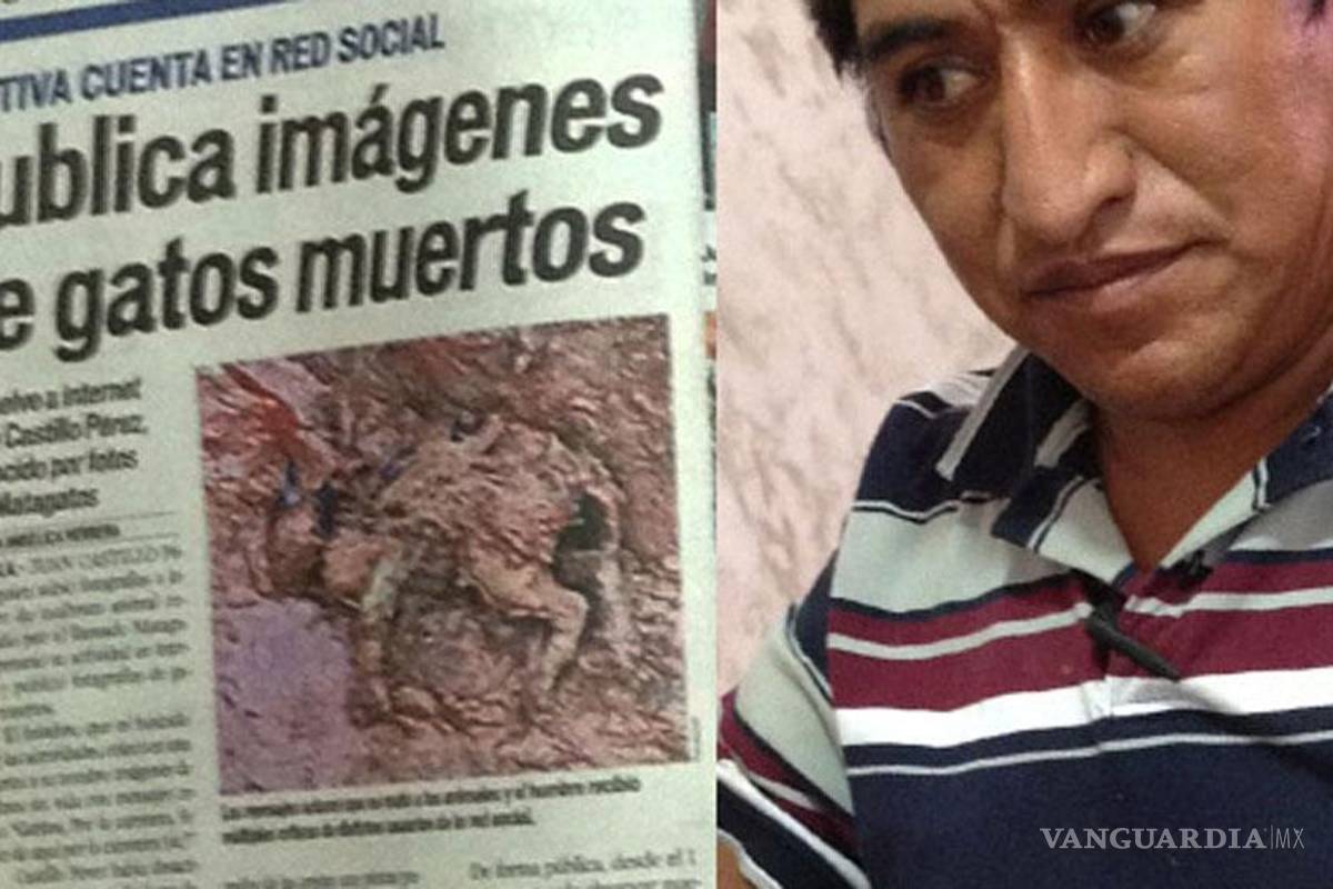 `El matagatos' huye por amenazas en la red; asegura que es inocente