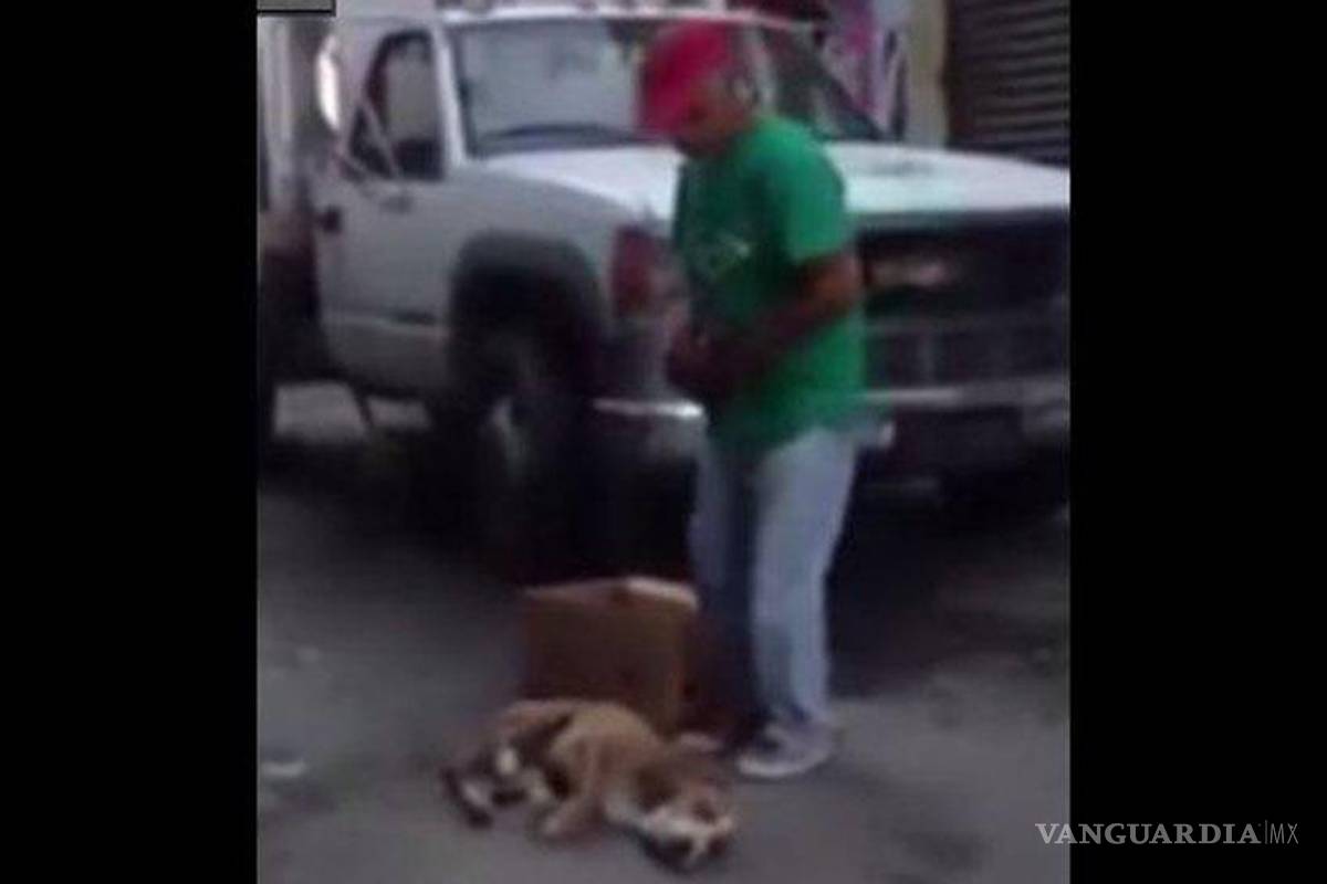 Ya podrás editar tus videos de YouTube desde el teléfono