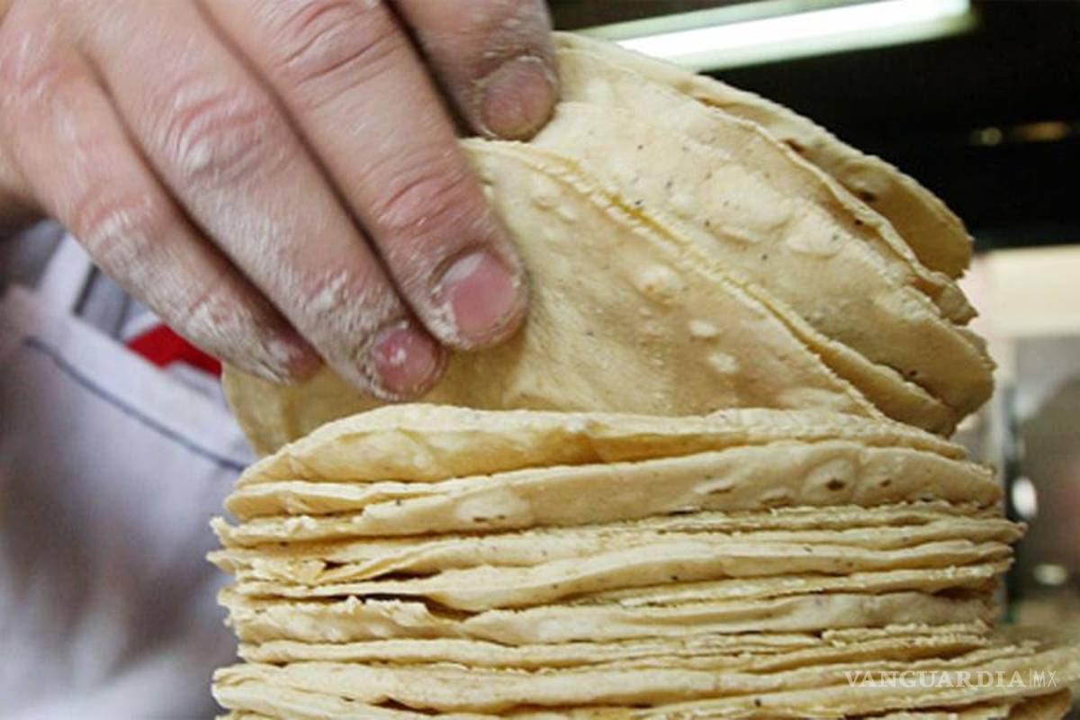 Conquista tortilla de maíz mesas alrededor del mundo