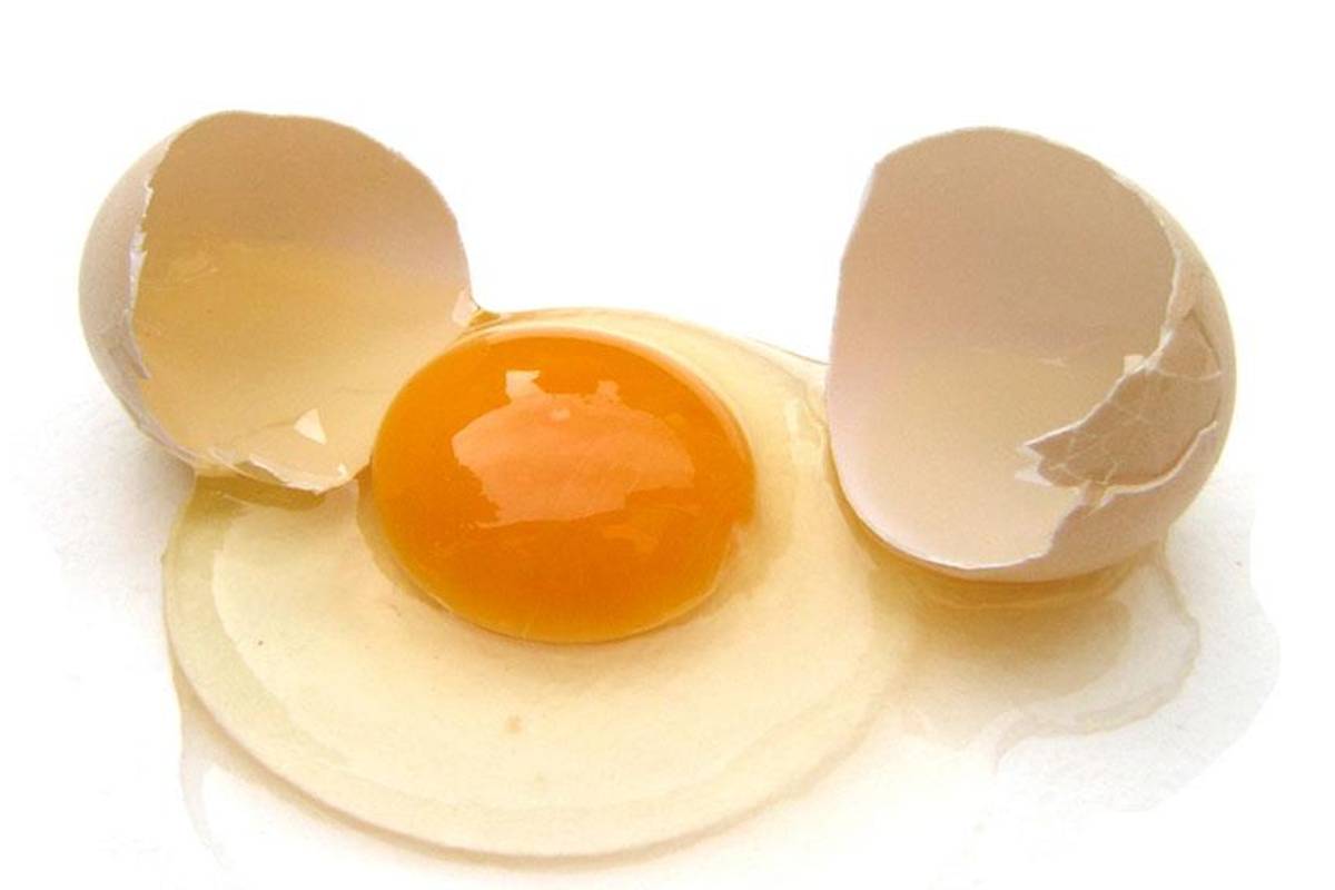 Hoy es el Día Mundial del Huevo en 150 países