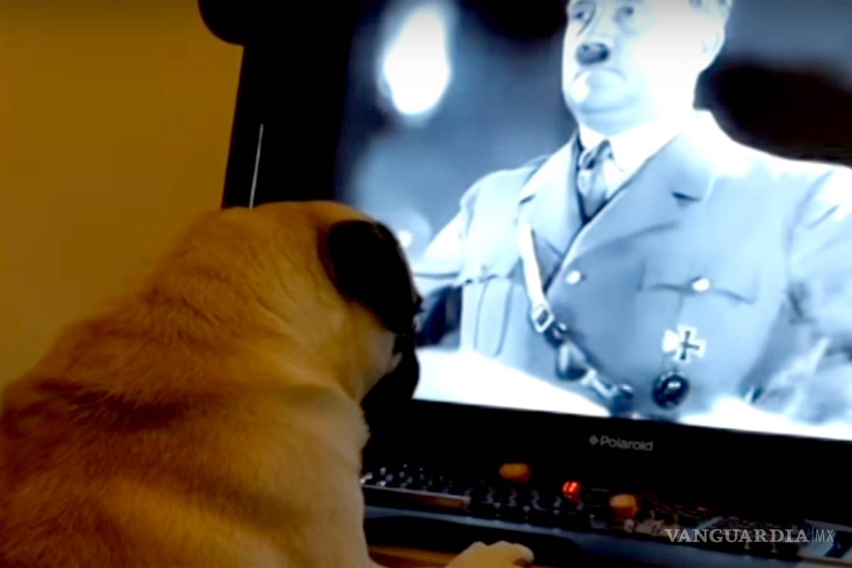 Hombre escocés enfrenta cargos por tener ‘perro nazi’