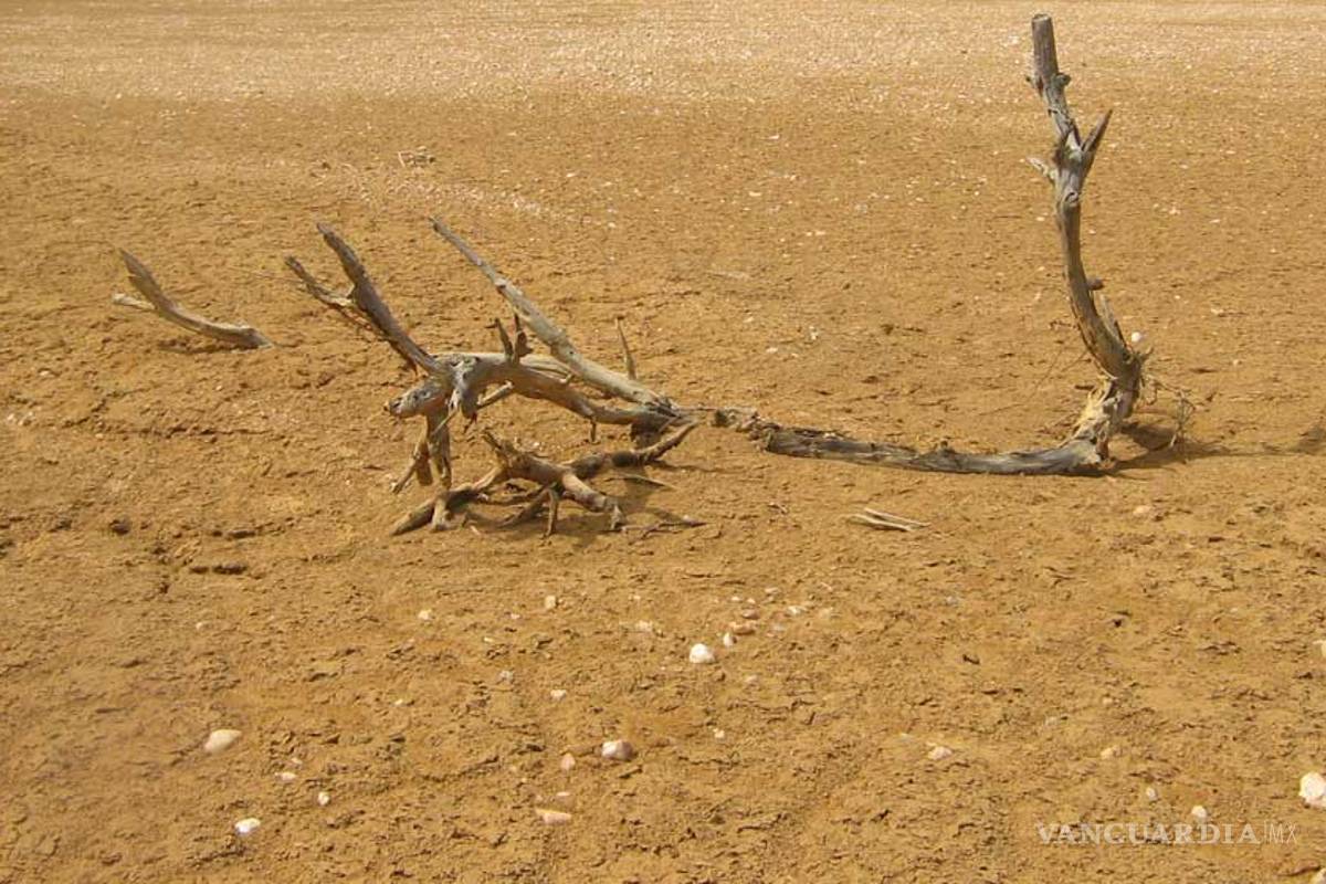 40% de México, tan seco como el Sahara