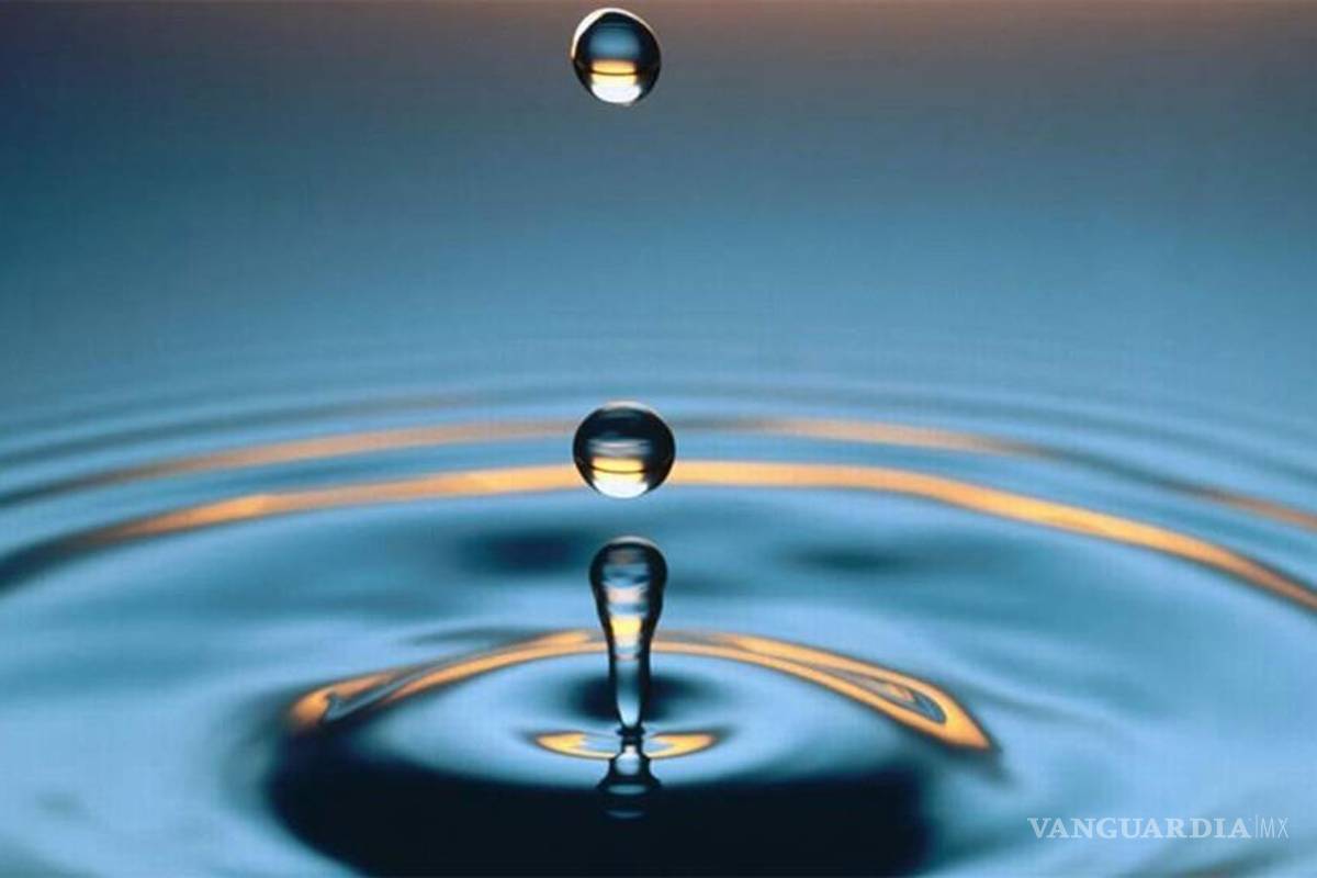 Premio Juvenil del Agua de Estocolmo, reconocimiento a la creatividad e innovación