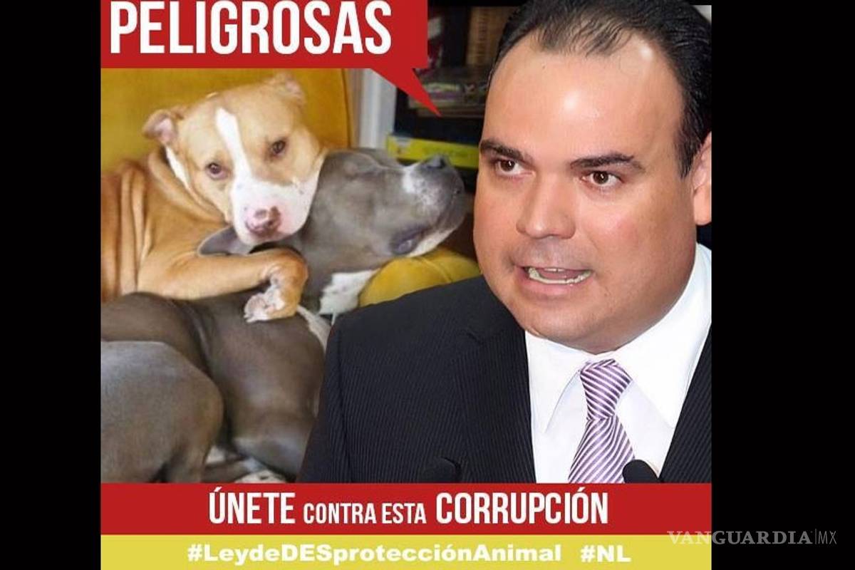 Panista clasifica en 'su ley' a 19 razas de perros como 'peligrosas'