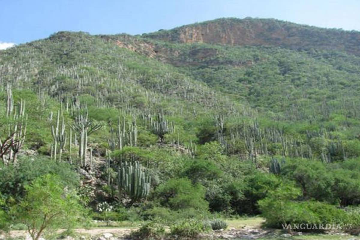 Reserva de Tehuacán-Cuicatlán busca reconocimiento de Unesco