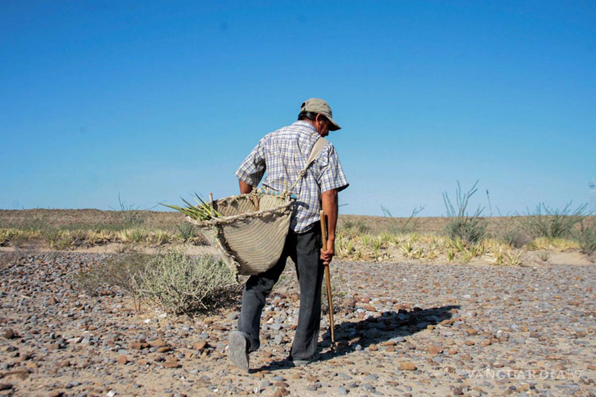 El cambio climático causa miles de muertes: OMS