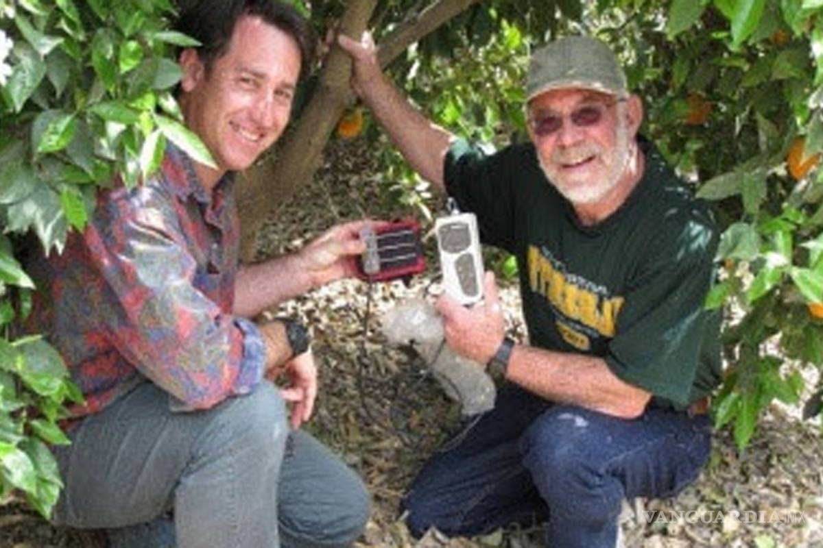 Crean dispositivo para que agricultores se 'comuniquen' con árboles sedientos