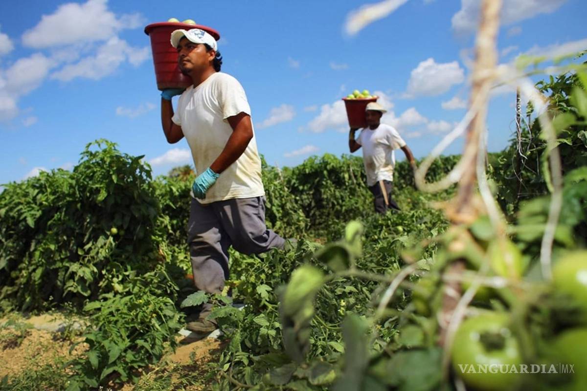 SCT y el campo, los más afectados por recorte en Presupuesto de Egresos