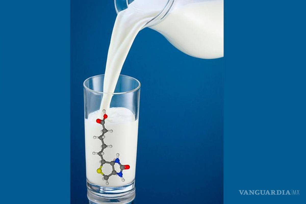 Obtienen INP y UNAM complemento alimenticio que mejora metabolismo