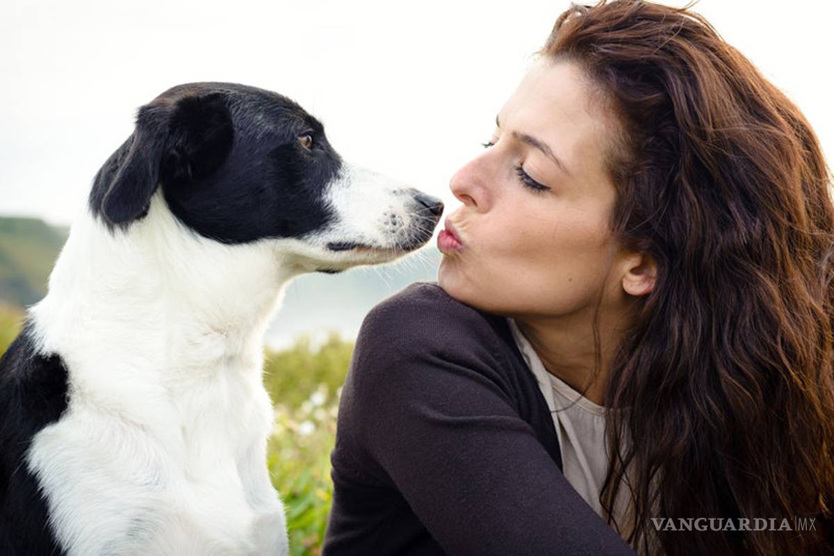 Besar a tu mascota en la boca podría causarte cáncer: estudio