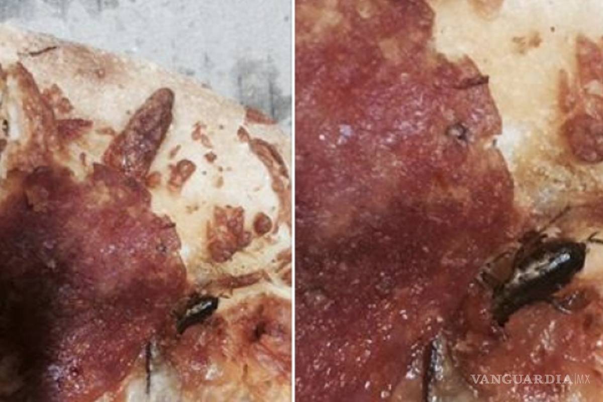 Cierran Domino's por pizza con cucarachas y malas condiciones en local
