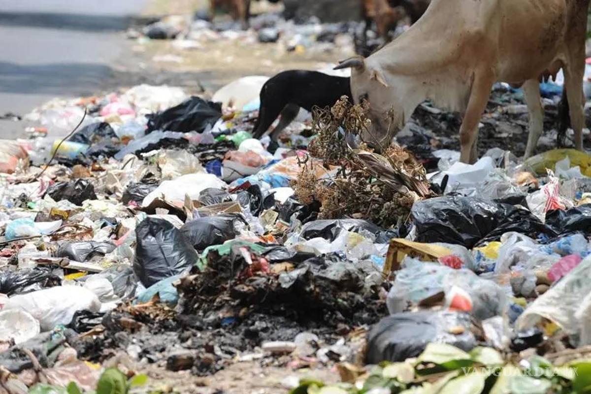 En Acuña, multas y corralón para quienes tiran basura en la vía pública