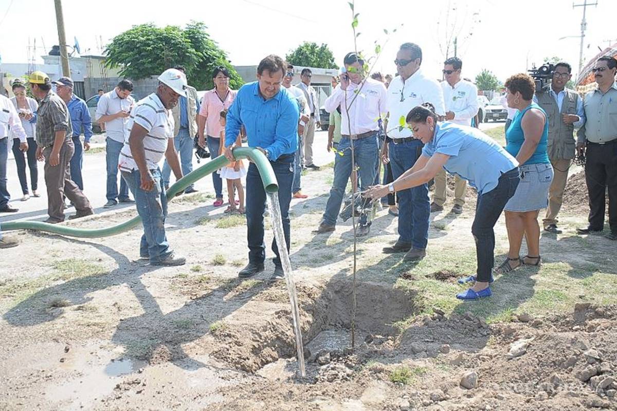 Ecología supervisa plantación de árboles sobre par vial de Monclova ante quejas ciudadanas