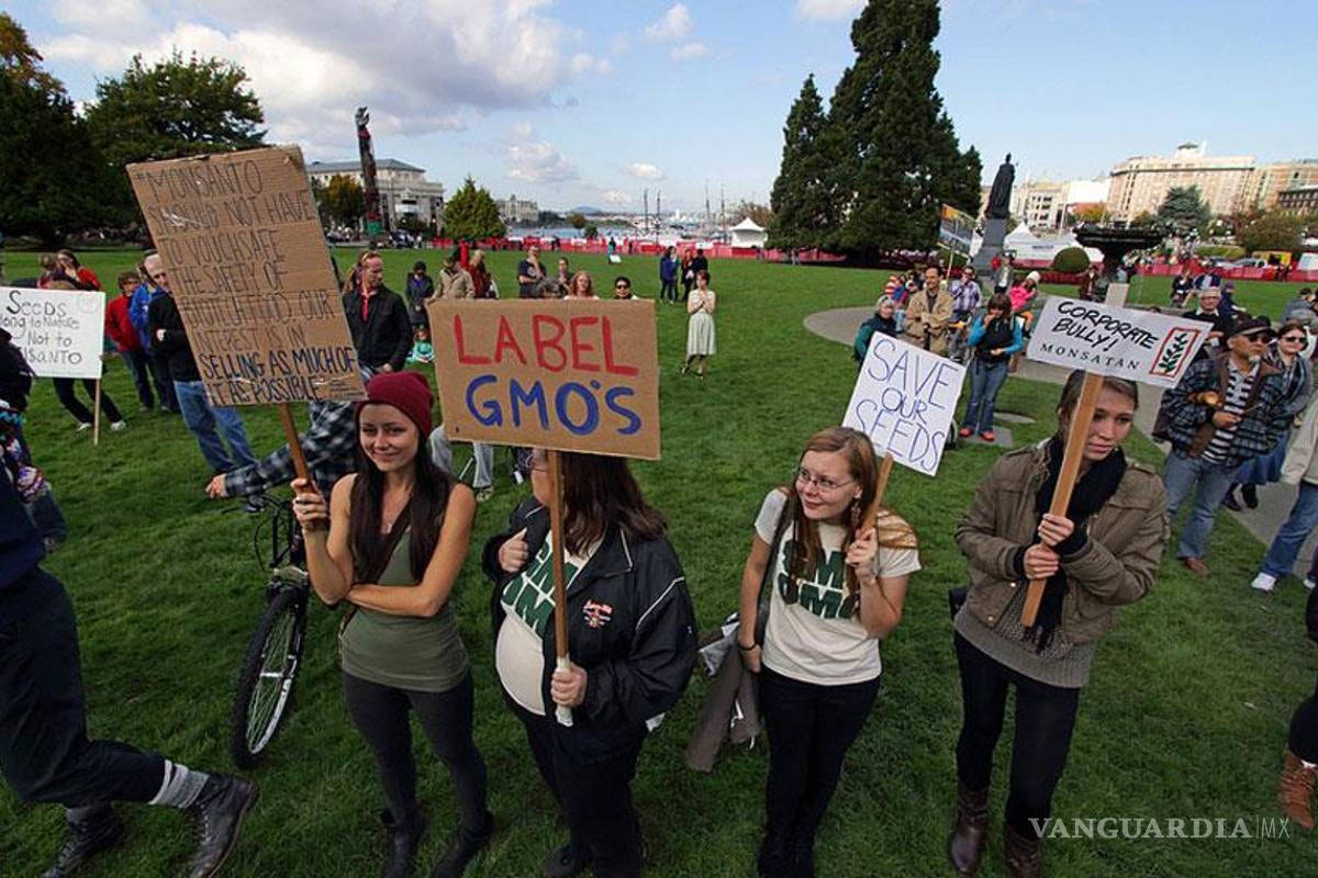 Protestan alrededor del mundo contra Monsanto