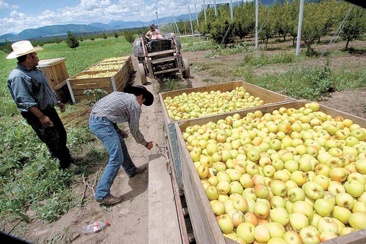 $!10 consejos para combatir el cambio climático desde casa