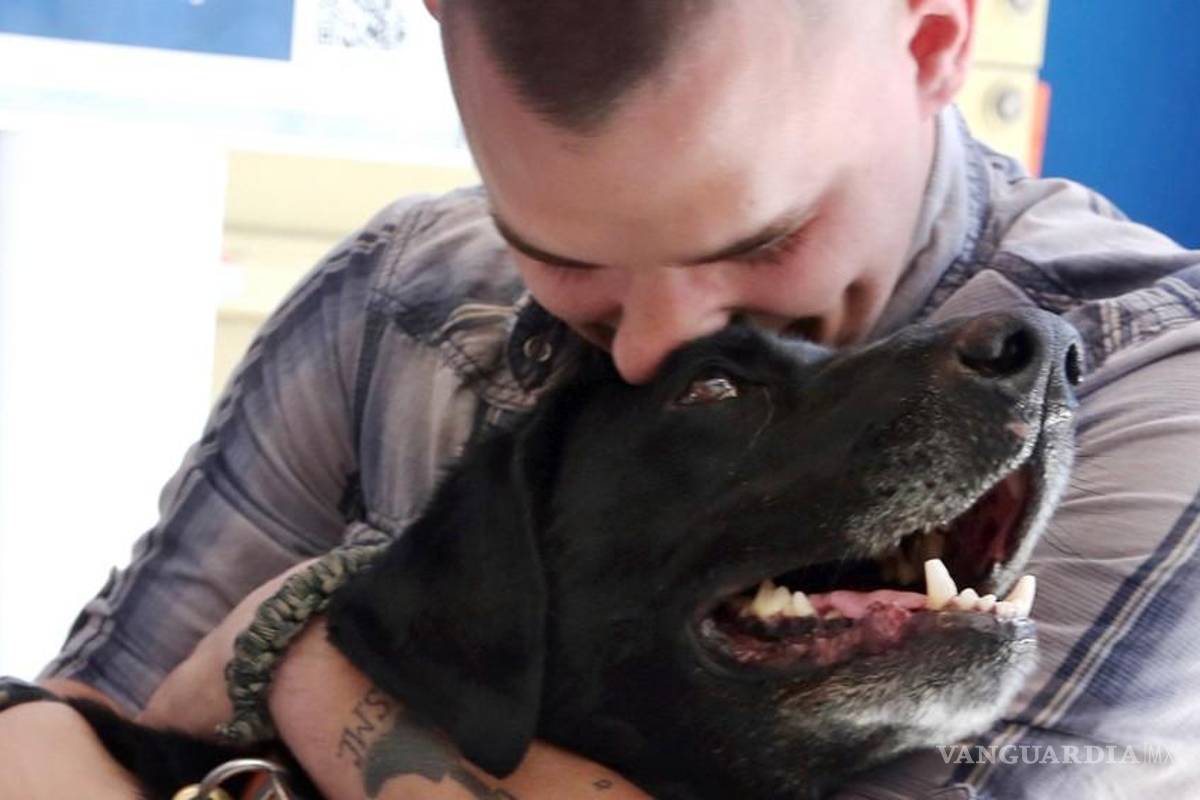 El emotivo reencuentro entre un marine y un perro detector de bombas