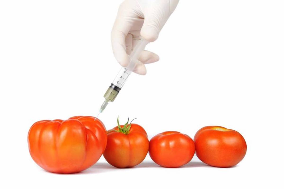 18 millones de estadounidenses padecen enfermedades intestinales por transgénicos