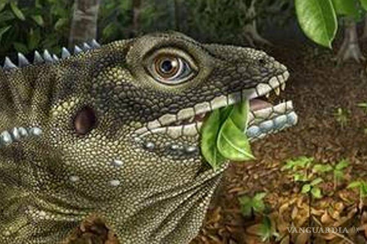 Nombran a lagarto en honor a Jim Morrison