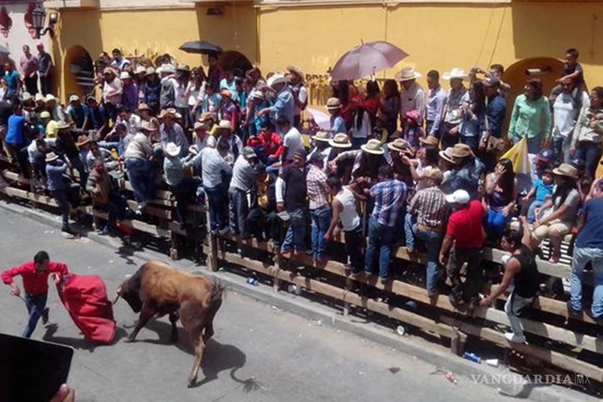 HSI celebró la decisión de Coahuila de prohibir las corridas de toros