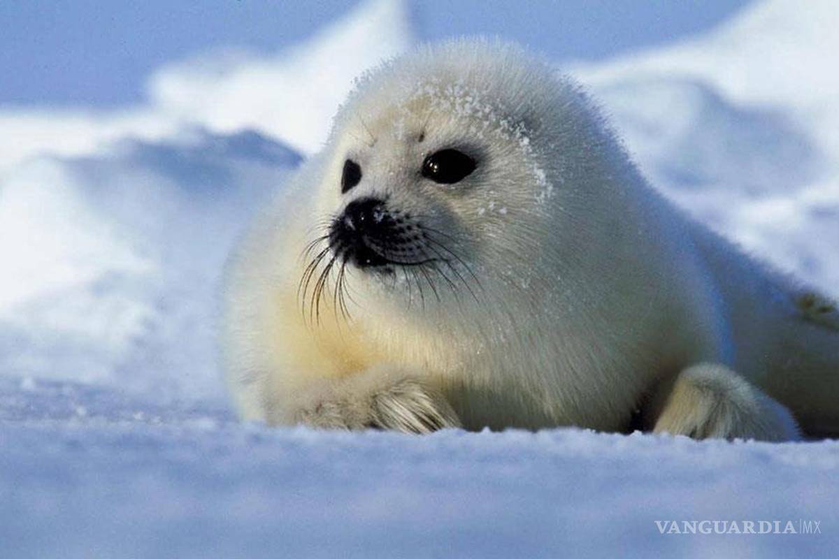 10 consejos para combatir el cambio climático desde casa