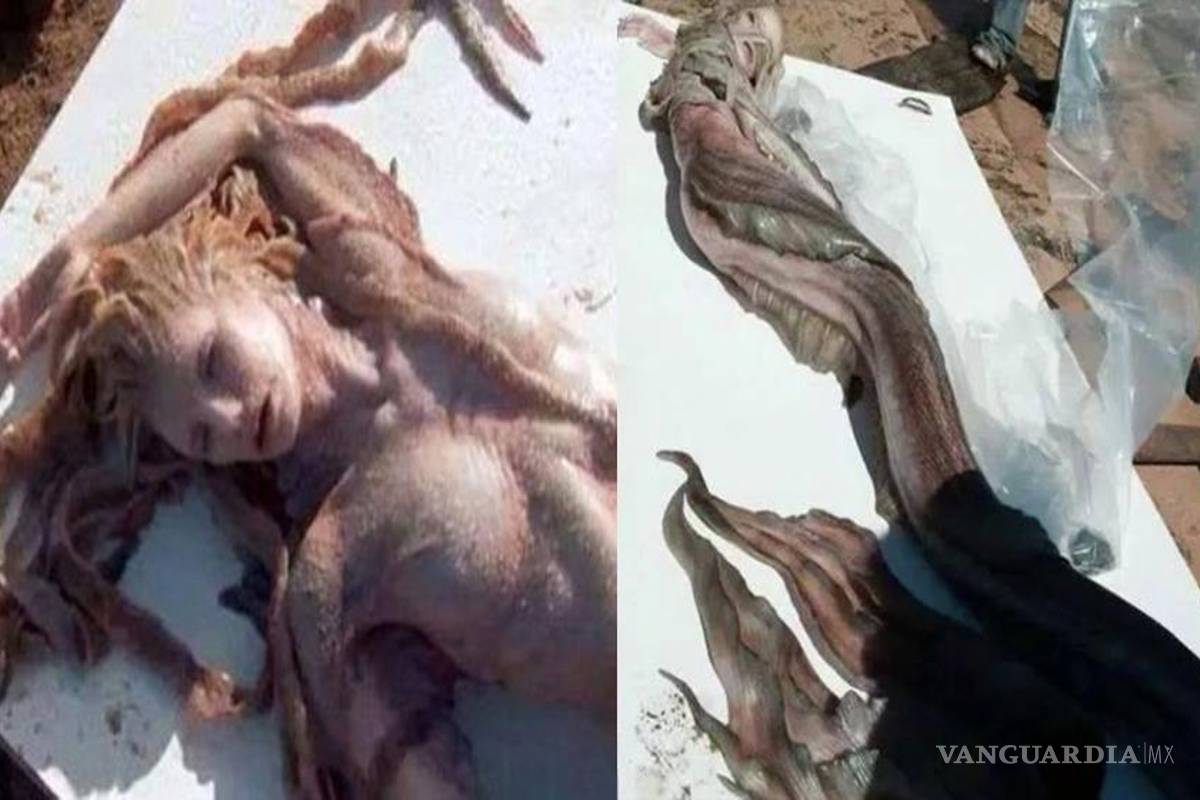 Sirena de Piratas del Caribe causa controversia en México (Video)