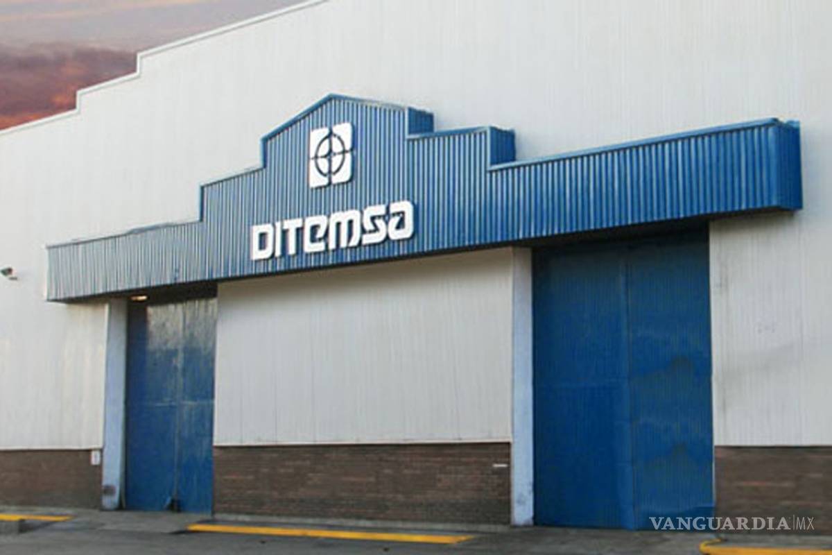 Crecerá 5% ventas de Ditemsa en 2016