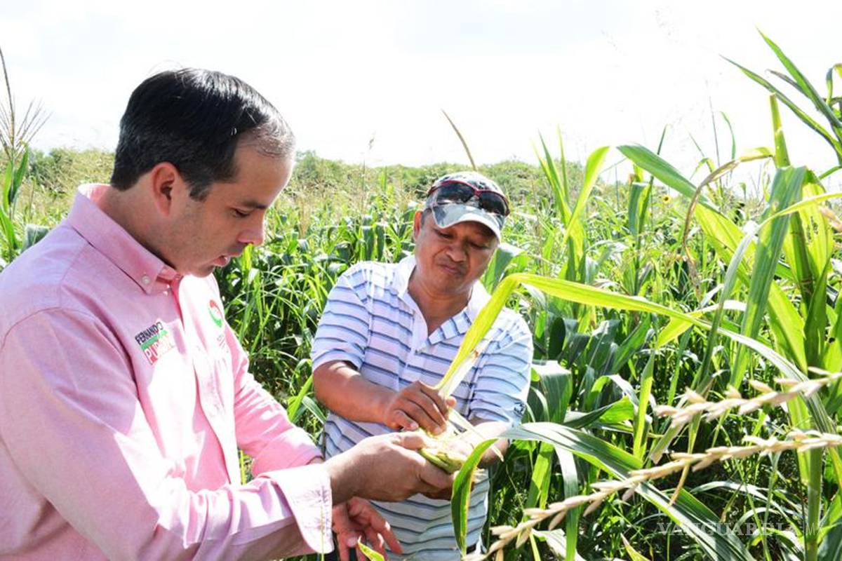 Agricultores confían en buena producción de hortalizas y granos