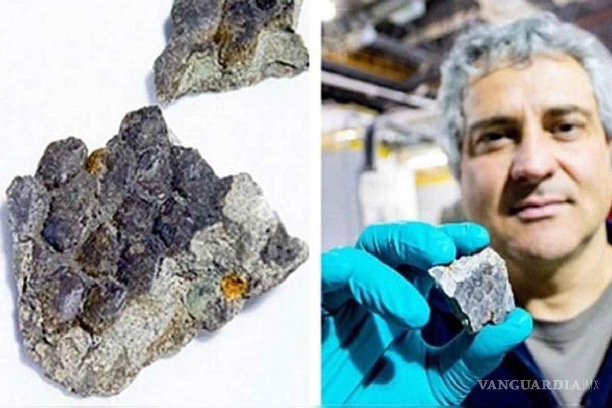 Científicos hallan piel de dinosaurio de 70 millones de años de antigüedad