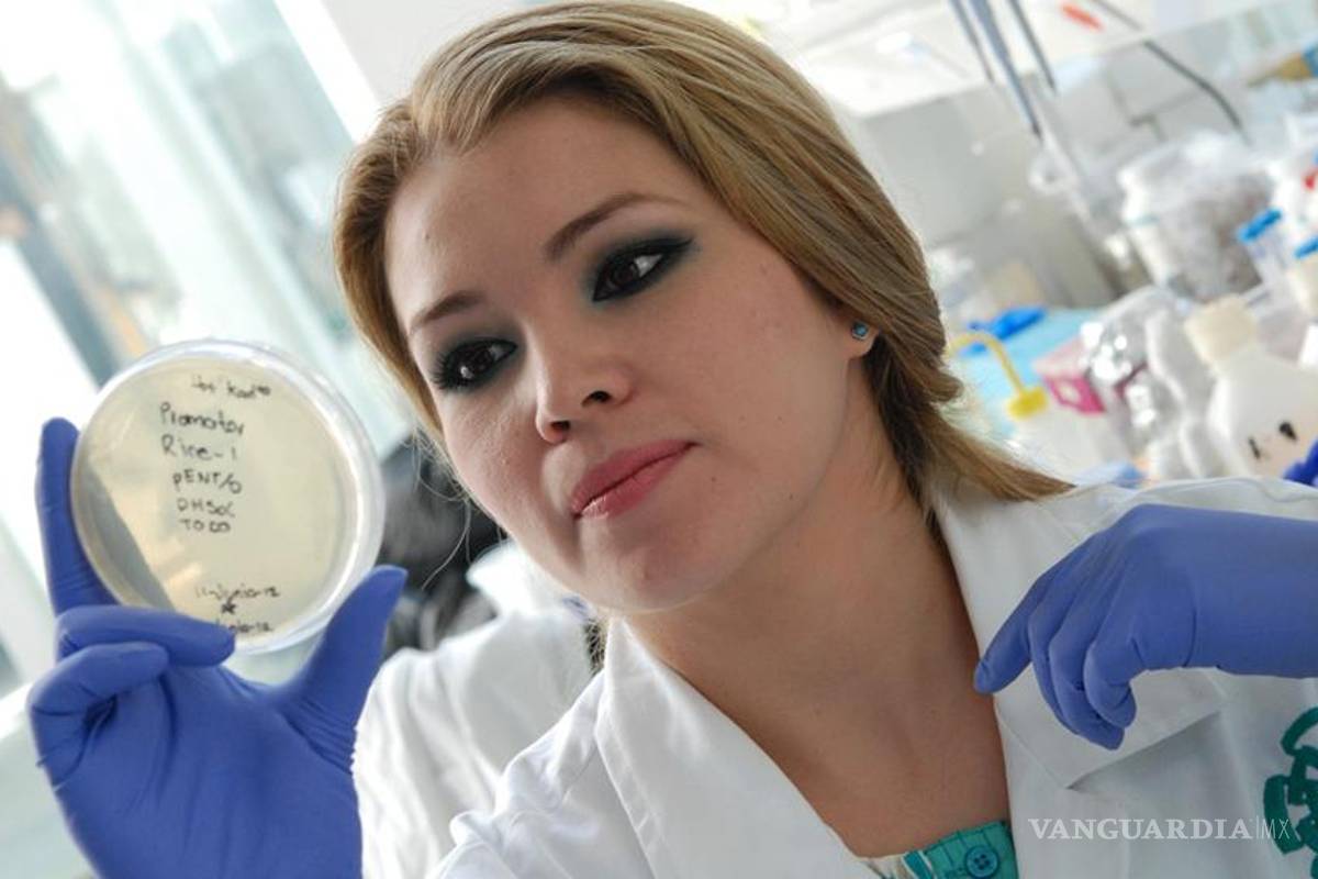 Plantas transgénicas para optimizar los insumos agrícolas