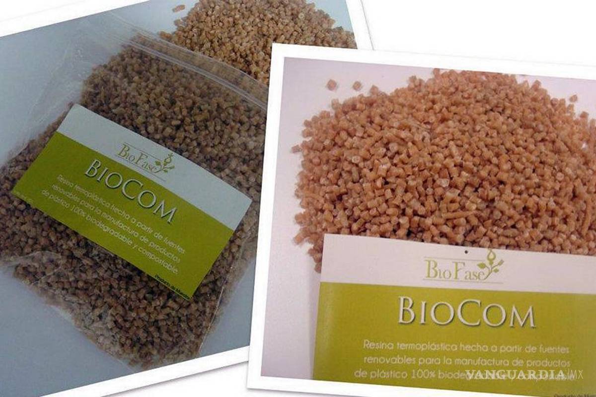 Mexicano transforma huesos de aguacate en bioplástico