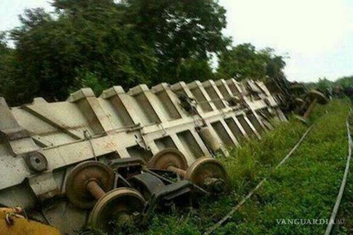 La Bestia fue descarrilada por grupo criminal: Solalinde