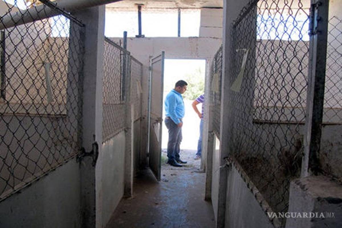 Hasta los perros se robaron en centro de control canino de Madero