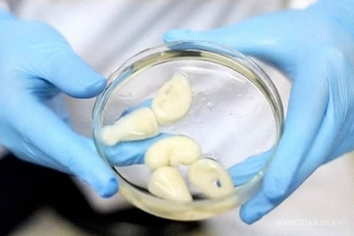 Ya comercializan hígado impreso en 3D, para estudios